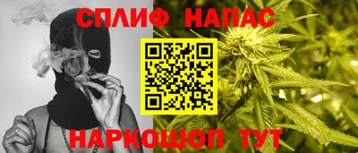 гидра Нальчик