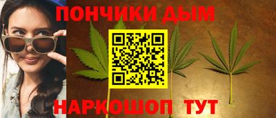 гидра Нальчик