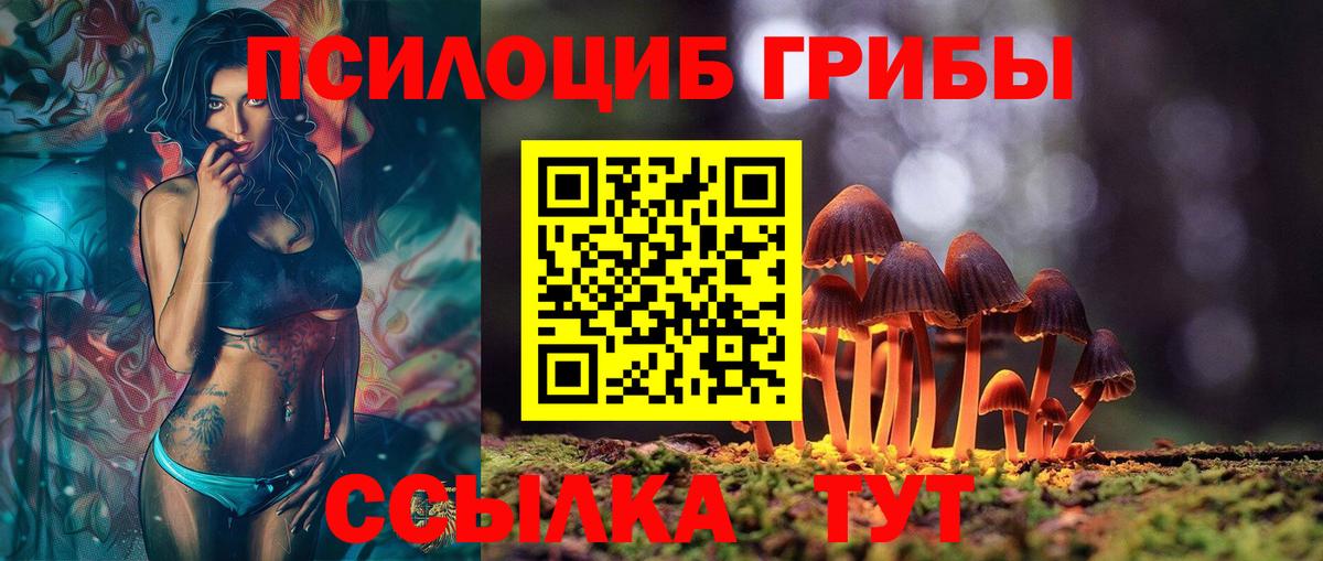Улан-Удэ  Галлюциногенные грибы Psilocybine cubensis  Вход с VPN 